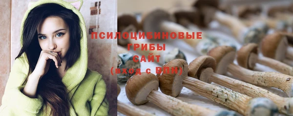 спиды Дубна