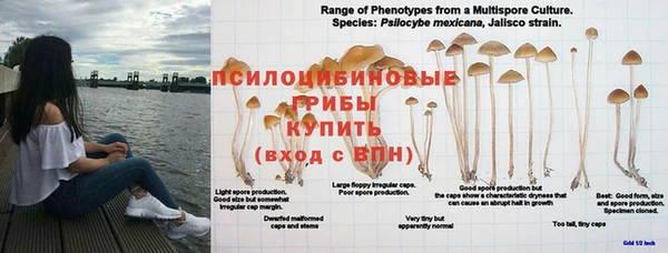 амфетамин Нея