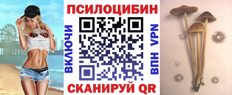Галлюциногенные грибы Magic Shrooms  Калязин 